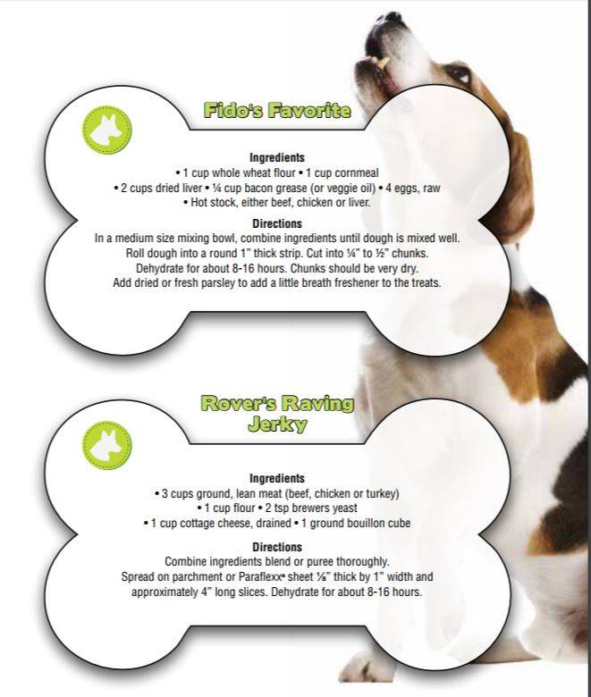 dog recipe