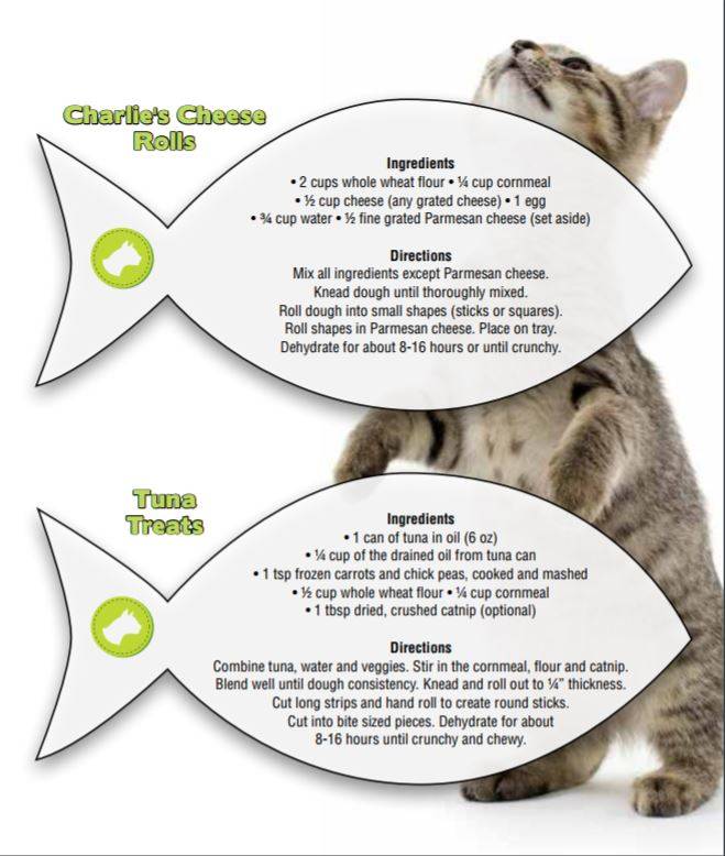 cat treat recipes excalibur ECT dehydrator