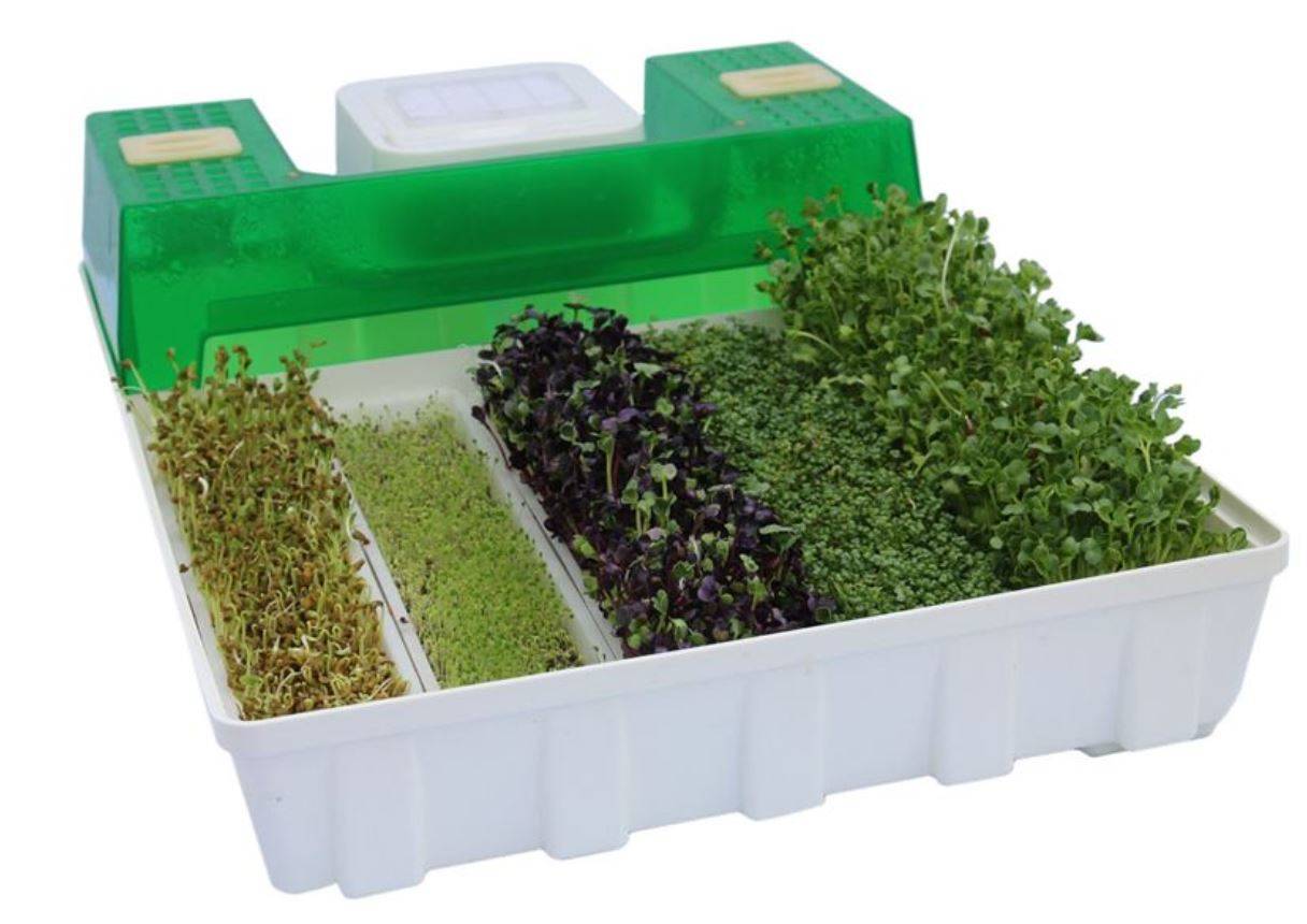 EasyGreen Light Sprouter - Sana-Store.com