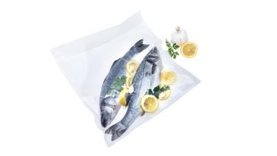 Status commercial vacuum sealer with fish
