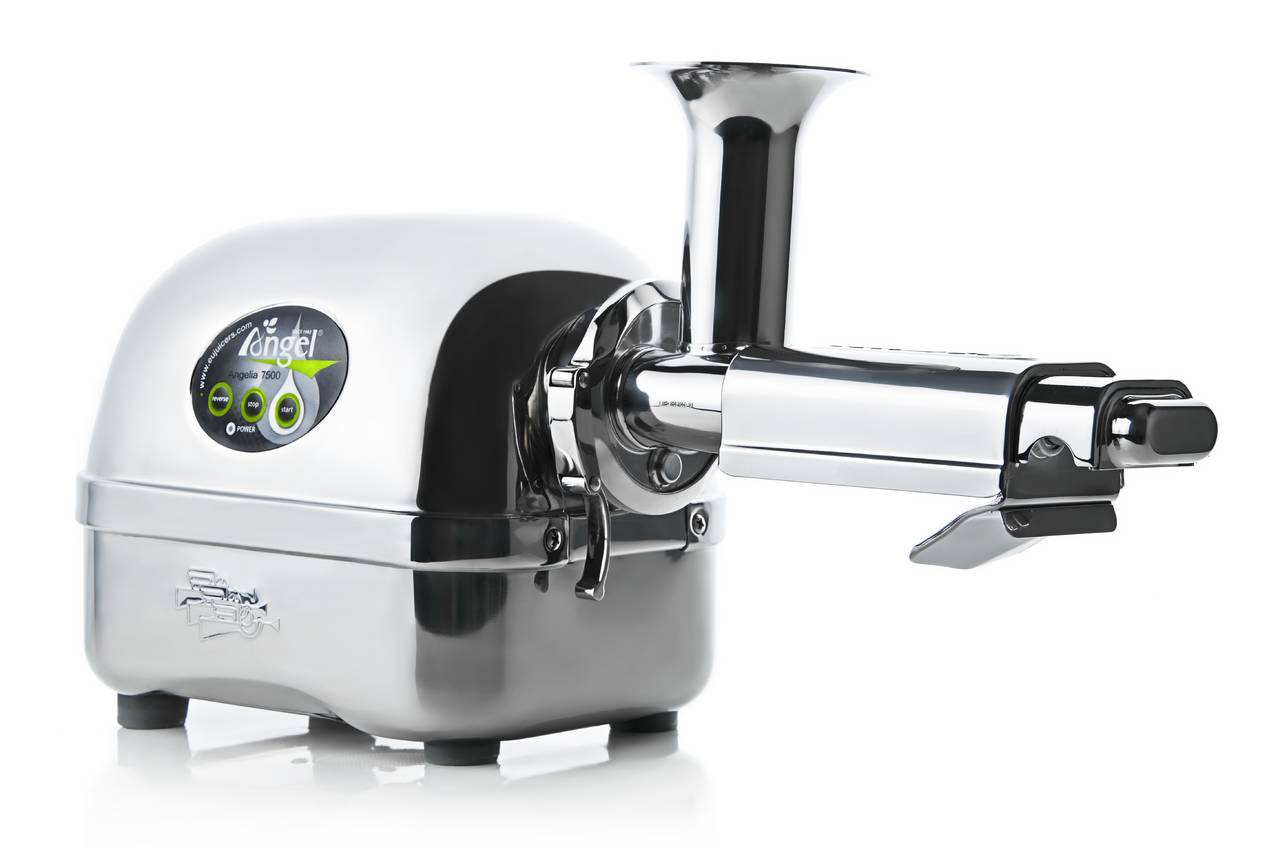 【美品】エンジェル Angel スロージューサー AG7500 低速圧縮搾り Angel Juicer エンジェルジューサー スロージューサー