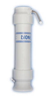 dionela-fam1