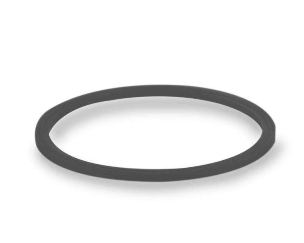 Sana Supreme Juicer 727 - drum cap seal