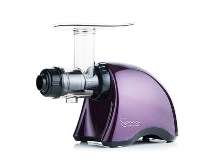 Sana EUJ-707 purple plum