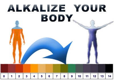KYK Genesis Platinum water ionizer
