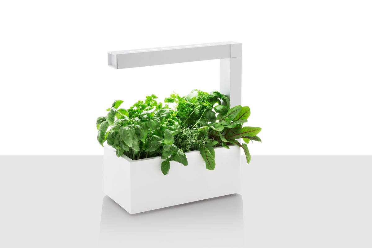 Tregren Herbie hydroponic indoor garden white