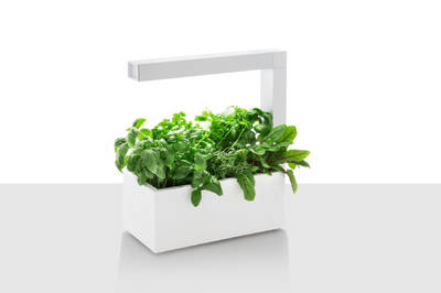 Tregren Herbie hydroponic indoor garden white