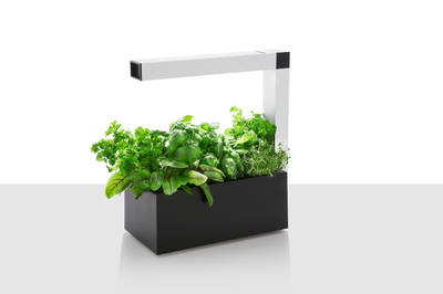 Tregren Herbie hydroponic indoor garden black