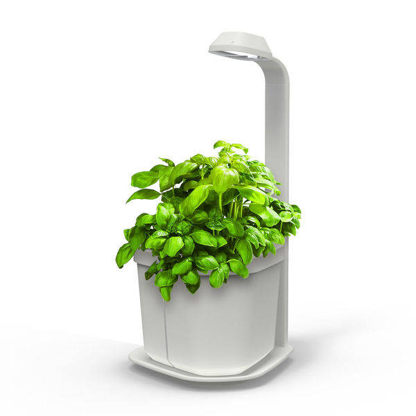 Tregren Genie hydroponic indoor garden white