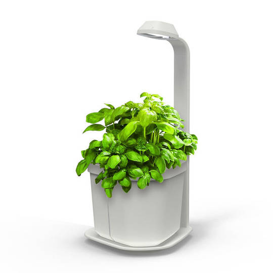 Tregren Genie hydroponic indoor garden white