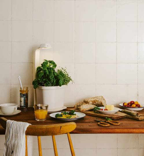 Tregren Genie hydroponic indoor garden kitchen