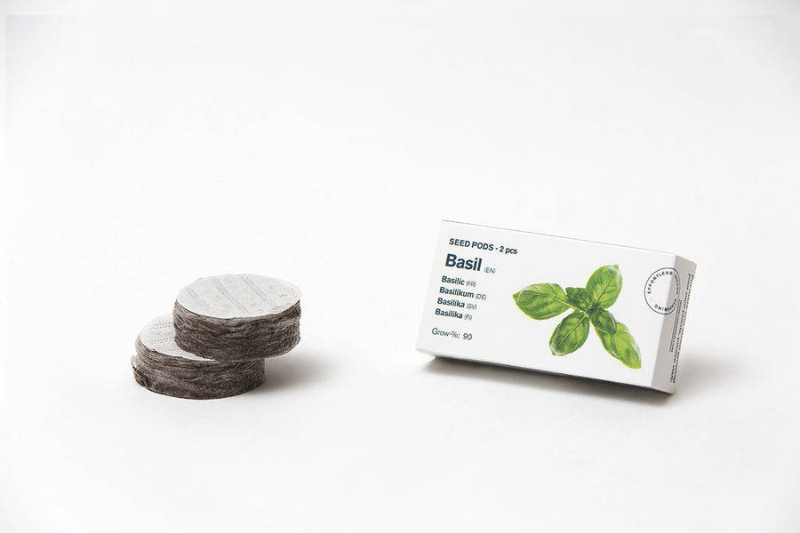 Tregren Herbie and Genie seed pods basil