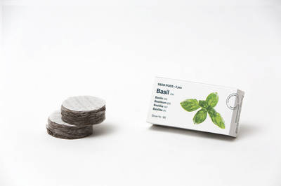 Tregren Herbie and Genie seed pods basil