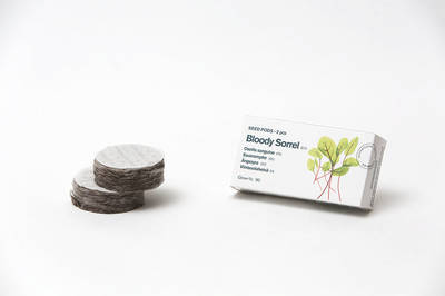 Tregren Herbie and Genie seed pods bloody sorrel