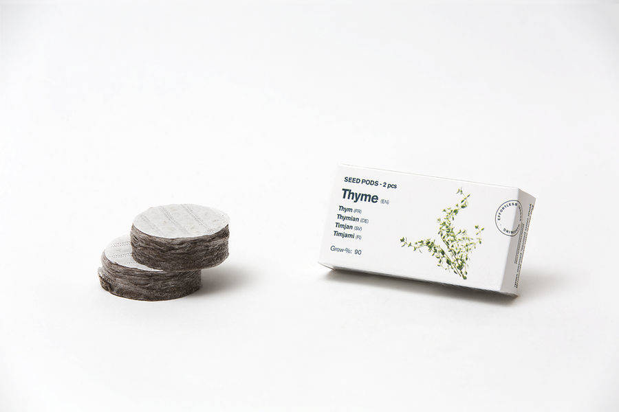 Tregren Herbie and Genie seed pods thyme