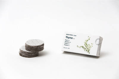 Tregren Herbie and Genie seed pods thyme