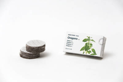 Tregren Herbie and Genie seed pods oregano