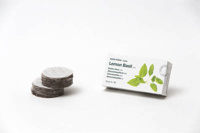Tregren Herbie and Genie seed pods lemon basil