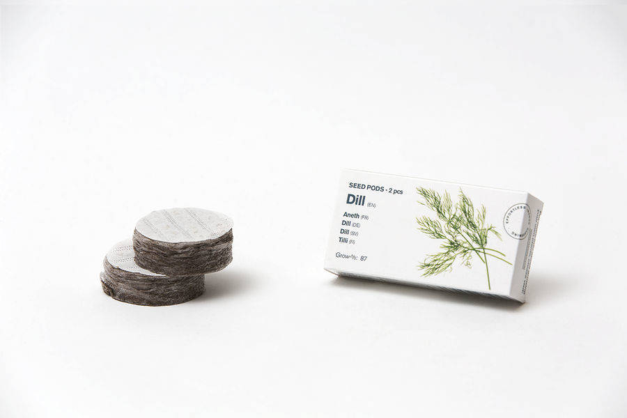 Tregren Herbie and Genie seed pods dill