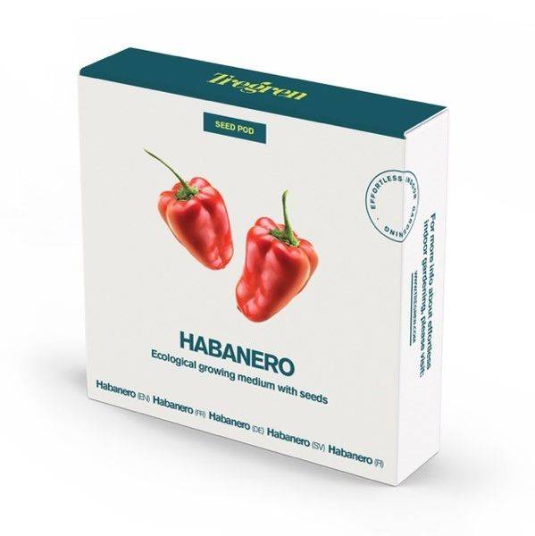 Tregren Herbie and Genie seed pods habanero