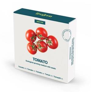 Tregren Herbie and Genie seed pods tomato