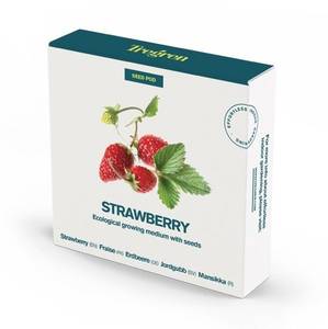 Tregren Herbie and Genie seed pods strawberry