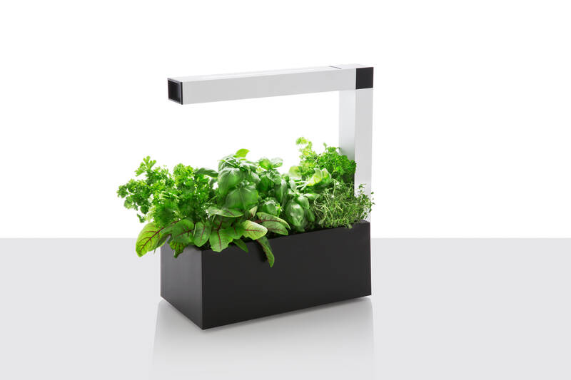 Sana Store Tregren Herbie Indoor Garden