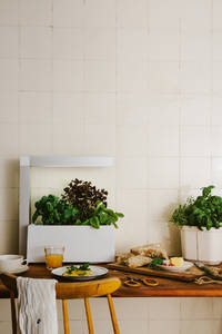 Tregren Herbie hydroponic indoor garden kitchen Tregren Herbie hydroponic indoor garden kitchen