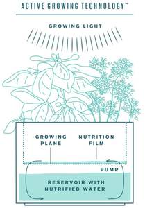 Tregren Herbie hydroponic indoor garden diagram Tregren Herbie hydroponic indoor garden diagram