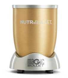 nutribullet motor