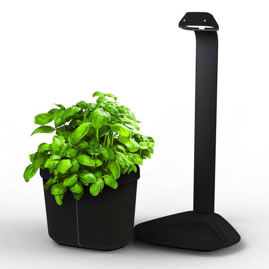 Tregren Genie hydroponic indoor garden black detail