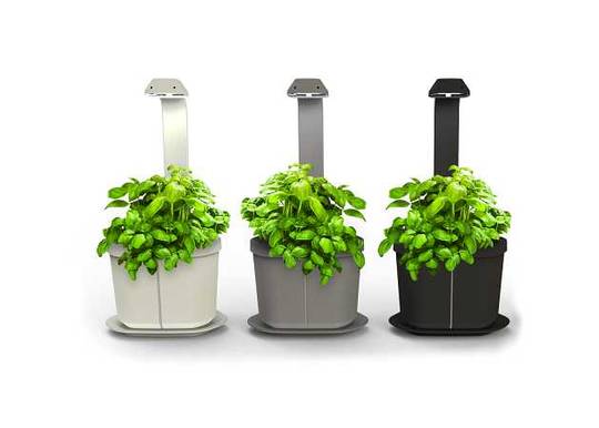 Tregren Genie hydroponic indoor garden colors