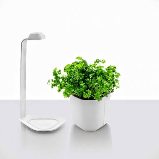 Tregren Genie hydroponic indoor garden detail