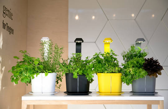 Tregren Genie hydroponic indoor garden extra