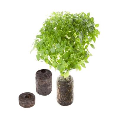 Tregren Herbie hydroponic indoor garden seed pods