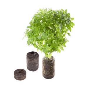 Tregren Herbie hydroponic indoor garden seed pods Tregren Herbie hydroponic indoor garden seed pods