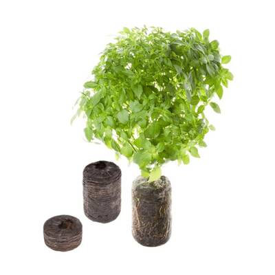 Tregren Genie hydroponic indoor garden seed pods