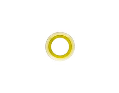 Pusher Seal for Sana Juicer EUJ-707 / EUJ-606