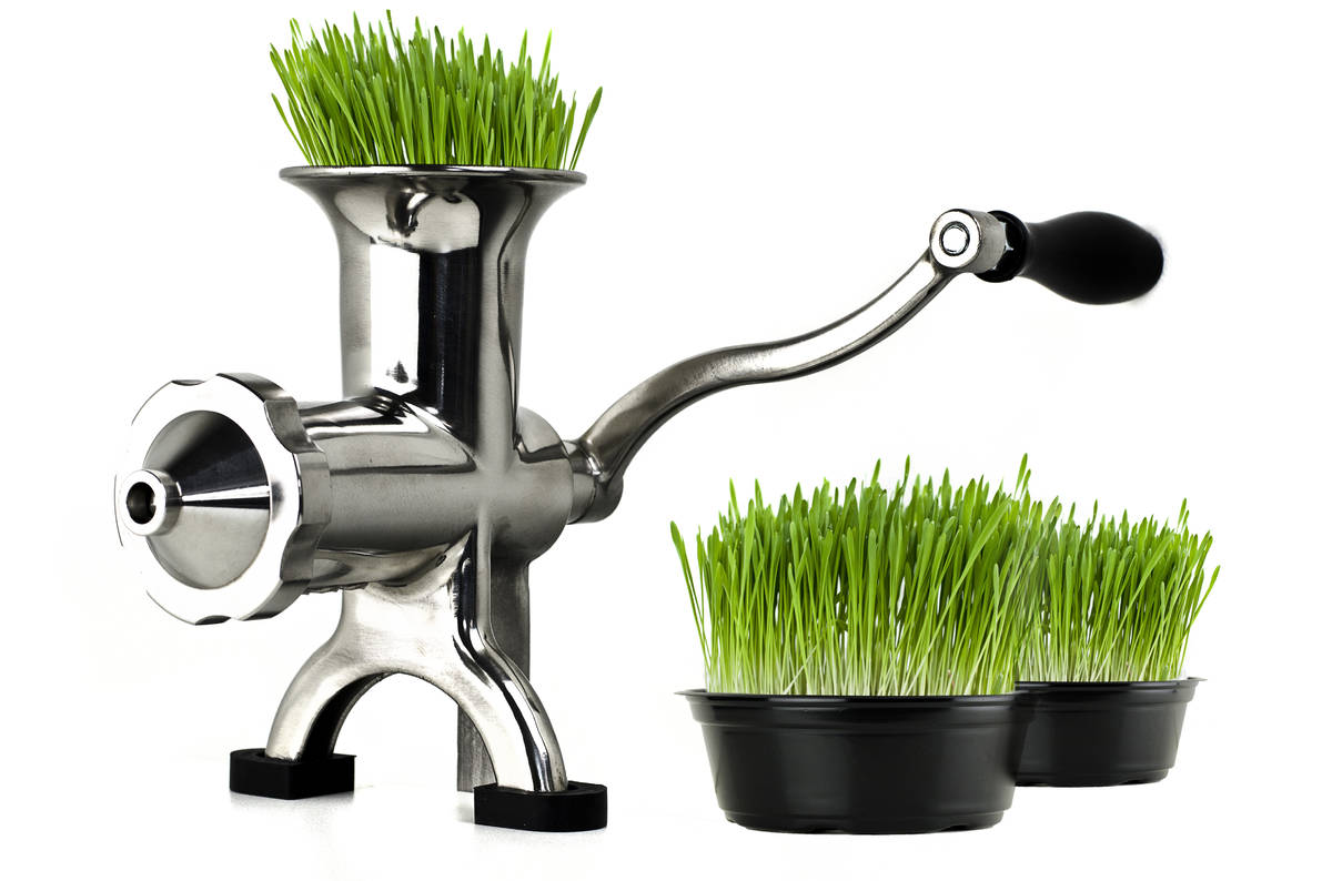 Wheatgrass Extractor Machine For Wheat Grass Fruit Vegetable JWD HOME Manual Wheatgrass Juicer Stainless Steel 